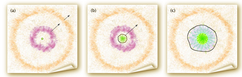 The Last Big Bump Before a Supernova Explodes