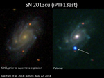 While observing a galaxy known as UGC 9379 (left; image from the Sloan Digital Sky Survey) about 360 million light-years from Earth, the iPTF team used a 1.2-meter robotic telescope at Palomar Observatory to discover a new supernova, SN 2013cu (right, marked with an arrow; image from a 1.5-meter robotic telescope, also at Palomar).
