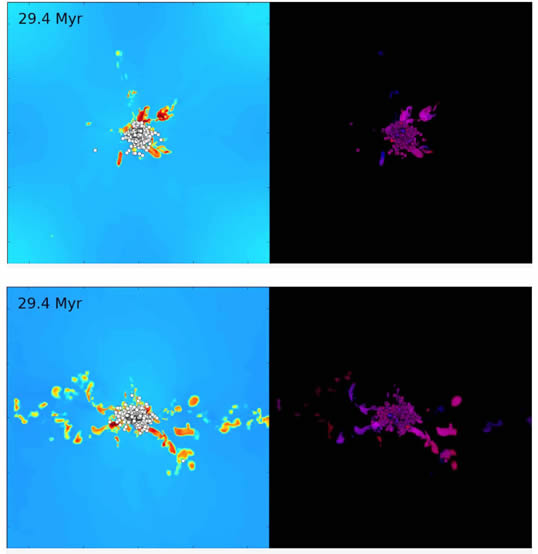 Two 11-second movies at http://hipacc.ucsc.edu/PressRelease/sibling-stars_videos.html shows face-on and head-on views of a computational simulation of a collision of two converging streams of interstellar gas, leading to collapse and formation of a star cluster at the center. The simulation reveals that the gas streams are thoroughly homogenized well before stars begin forming. Credit: Mark Krumholz/University of California, Santa Cruz 