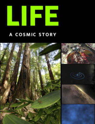 Life: A Cosmic Story