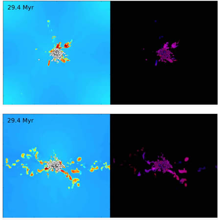 CAPTION: Two 11-second movies shows a computational simulation of a collision of two converging streams of interstellar gas, leading to collapse and formation of a star cluster at the center. In both movies, the numbers rapidly increasing shows the passage of time in millions of years; left panel shows the density of interstellar gas (yellow and red are densest) and right panel shows red and blue “tracer dyes” added to watch how the gas mixes during the collapse. Face-on view (upper pair in the stills) shows the plane where the two gas streams meet while the edge-on view (lower pair in the stills) shows a cross section through the two streams. Circles outlined in black are stars; stars are shown as white in the left panel, and in the right panel their color reflects the amount of the two tracer dyes in each star. The simulation reveals that gas streams are thoroughly homogenized within a very short time of converging, well before stars begin forming. Credit for both stills and movies: Mark Krumholz/University of California, Santa Cruz
