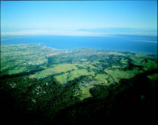 Arial view of Santa Cruz