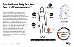 The microbial drug factories living within you