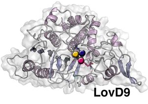 Why mutant enzyme makes cholesterol drug faster