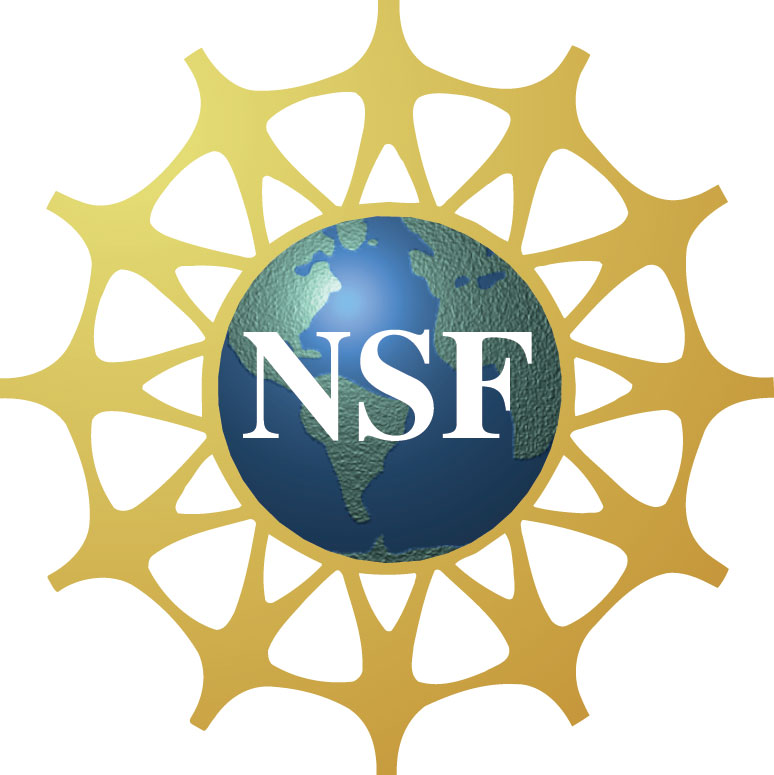 UCR computational scientists win NSF CAREER grants