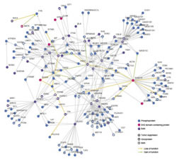 Cancer mutates social networks of proteins
