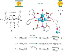 Enzyme-like switching molecular bonds in catalysts