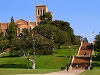 UCLA